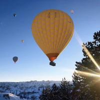 拥抱最近的未来头像