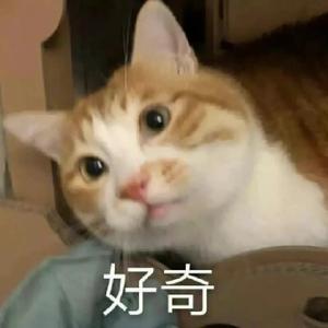 白羊座和猫头像