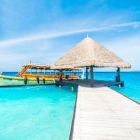 远见卓识云朵0jef8头像