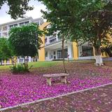 用户2610703519391头像