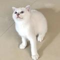 丶Animals丶头像