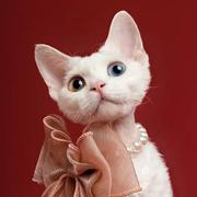 Yuki_的个人资料头像