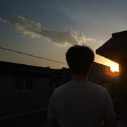 chenpipi的个人资料头像