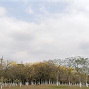 空空空452的个人资料头像