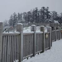 天涯驰骋123头像