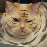 合起来的书头像