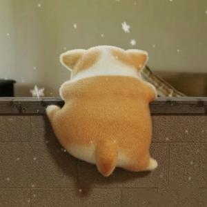 圆仔很快乐头像
