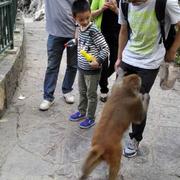 唐程的个人资料头像