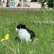 GtJerry的个人资料头像