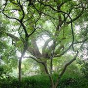 凡尘_FanChen的个人资料头像