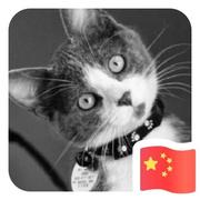 享耳659的个人资料头像