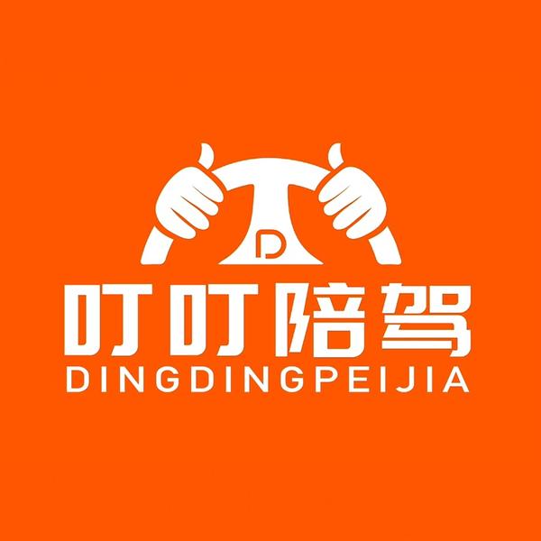 叮叮汽车新手陪驾陪练头像