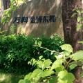 兔子爱菜菜头像
