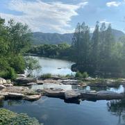 soonssa的个人资料头像