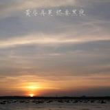 Q秋风落叶头像