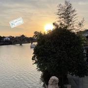 伪文青一枚的个人资料头像