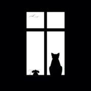 5xiaoyu的个人资料头像