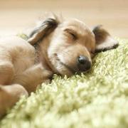 蜗牛43的个人资料头像