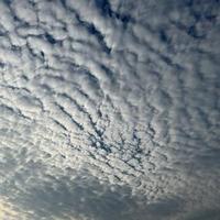 山东臭鸭蛋头像