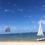 roma的个人资料头像