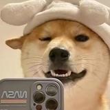 繁星天禄头像