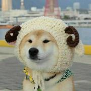 赵星海的个人资料头像