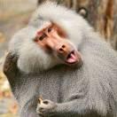 iteralchemy的个人资料头像