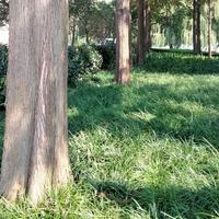 诸事别放心上头像