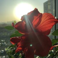 景昇西街73号院头像