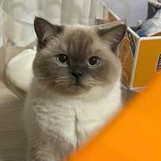 程序1uan的个人资料头像