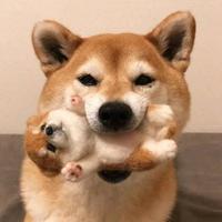 BH我爱你哟头像