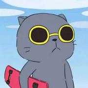 iceccc的个人资料头像