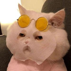 小伊伊的情感短剧头像