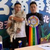 yuanyuanmiao72头像