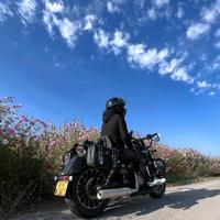 沐頭木頭头像