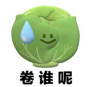 m2003969x的个人资料头像