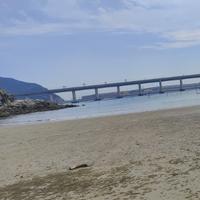 时光与你zlh头像