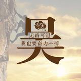 用户4476853577346头像