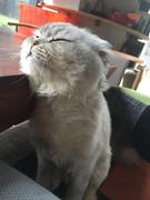 咖啡同学的个人资料头像