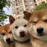 5月的天6月的雨头像