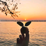 小归小844头像