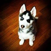 用户31419498845的个人资料头像