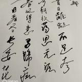 暂凭杯酒人生头像