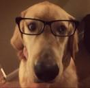 贾凯强的个人资料头像