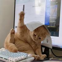 尹东开头像