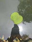 小汤0的个人资料头像