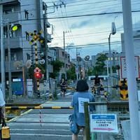 用户3433461630549头像