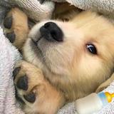 XxRu头像