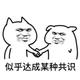 58436511头像