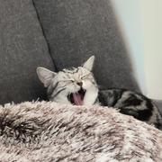 二胡来逛逛掘金的个人资料头像